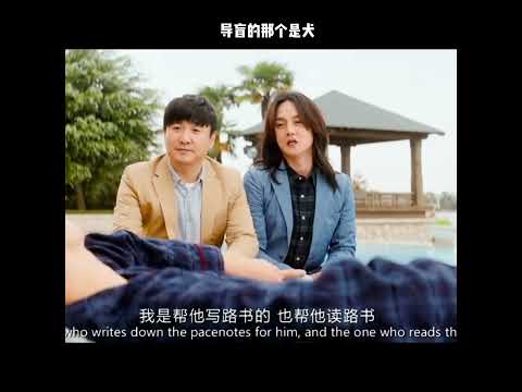 导盲的那个是犬 thumbnail