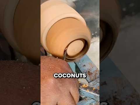 How Coconuts Produce a Sound You've Heard 🤯 thumbnail