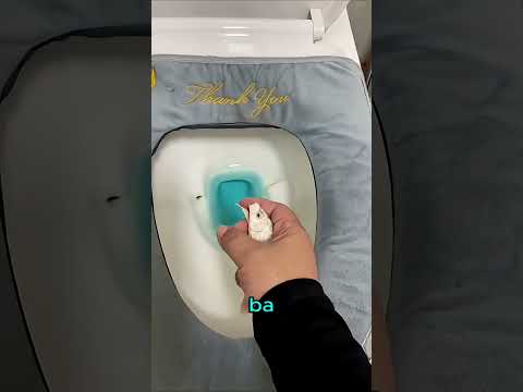 Đâu mới là nhà của con cá này 😂 thumbnail