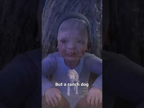 The Ranch Dog That Rescued A Missing Boy ? thumbnail