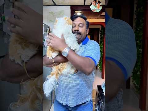 Chellama peru eppo life kulla vandhuchunaaa 😍 #minivlog #shorts thumbnail