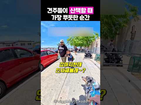 우는 아이를 단숨에 달랜 댕댕이와 주인 thumbnail