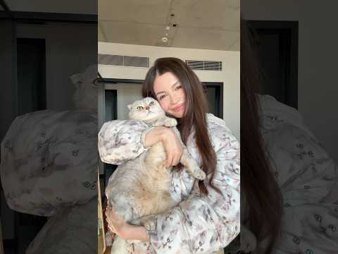 En sevdiği hayvan kedi olan kızın ikonik kıyafet alışverişi👀🐈 #meryemcan #unboxing #shorts thumbnail