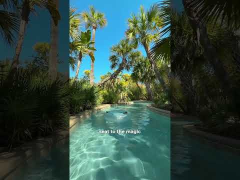 Incredible experience at World’s most magical resort : Four Seasons Orlando in Walt Disney World thumbnail
