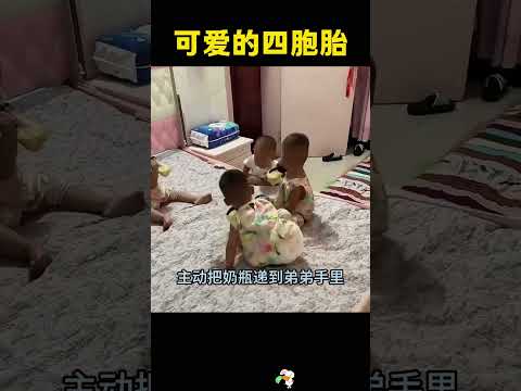 温馨一幕，四胞胎太可爱了。 thumbnail