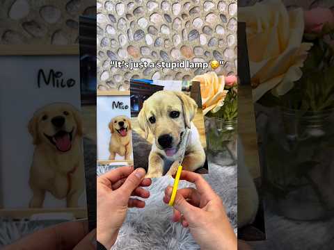No, it’s not ?❤️ #pets #dogs #dogsoftiktok #dogloss #giftsideas thumbnail
