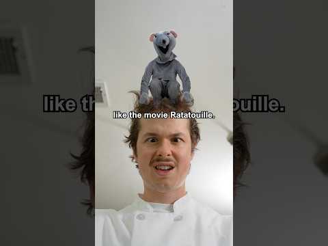 Day in the life of the Hantavirus Rat ??? #shorts #funny #comedy #humor #food #animal #animals thumbnail