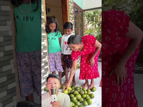Jadhu tidak sabar ingin memakan mangga 🥰 @SHOCKFAMILY315 thumbnail