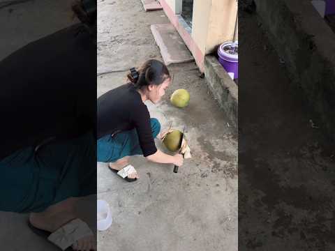 Em chặt dừa bất ổn nhất năm thumbnail