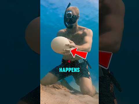 He Cracked an Egg under the Sea and This Happened‼️🤯 thumbnail