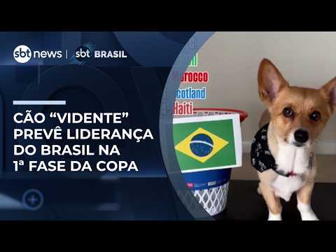 Cão “vidente” prevê liderança do Brasil na fase de grupos da Copa do Mundo | #SBTBrasil thumbnail