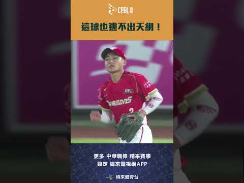 #CPBL 這球也逃不出天網！#郭天信 Nice Play！#味全龍 #樂天桃猿 #中華職棒 #shorts thumbnail