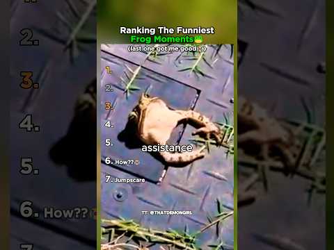 Ranking The Funniest Frogs #shorts #frog #funny thumbnail