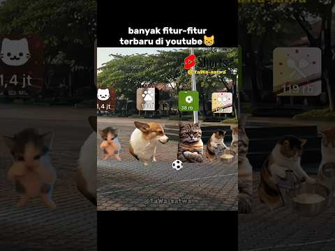 yang muncul kucing😸👍#catmemes #dance #trend #shorts #youtube #kucing #like #lawak #catlove thumbnail