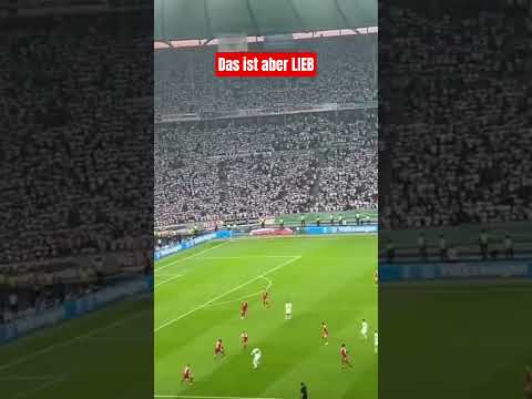 Der Moment, als die Fans des FC Bayern und des VfB Stuttgart dem DFB gemeinsam das Finale wegnahmen! thumbnail