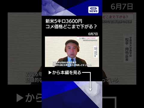 【ニュース】“日本一早い新米”販売開始「5キロ税込み3600円」来年は更なるコメ余り懸念も【サタデーステーション】(2026年6月6日) #shorts thumbnail