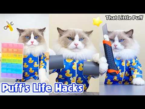 30 Most Useful Life Hacks You Need to Know 🔥 | That Little Puff thumbnail
