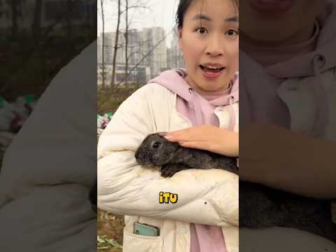 Awalnya dikira anak kucing yang terjebak, pas di ambil ternyata... thumbnail