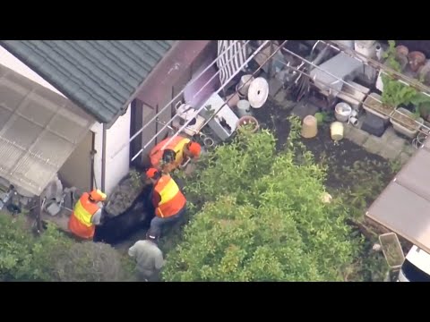 Rogue black bear captured in Japan following multi-day hunt thumbnail