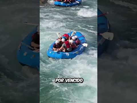 El GUÍA del BOTE cayó al AGUA, pero lo que OCURRIÓ después SORPRENDIÓ A TODOS thumbnail