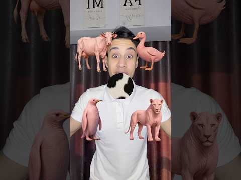حيوانات بدون ملابس ؟? thumbnail