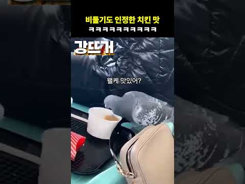 일단 물어내셔야 겠는데요 ㅋㅋㅋㅋ thumbnail