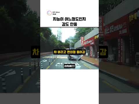 지능이 어느정도인지 감도 안옴 #블랙박스 thumbnail
