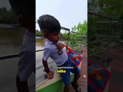 Este Niño Le Dio Su Comida Al Conductor Hambriento 😲❤️ thumbnail