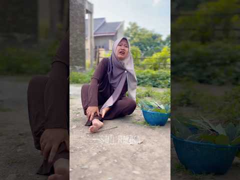Kaki mama kena duri#shorts thumbnail