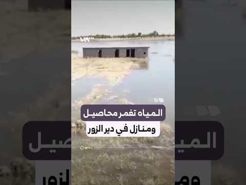 المياه تغمر المحاصيل الزراعية وعددا من المنازل في ريف دير الزور الغربي thumbnail