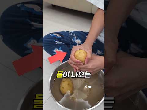 감자를 얼렸다가 짜내면 벌어지는 일 ㄷㄷ thumbnail