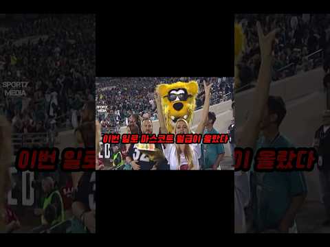 가려운 곳 제대로 긁어주네 ㅋㅋㅋ thumbnail