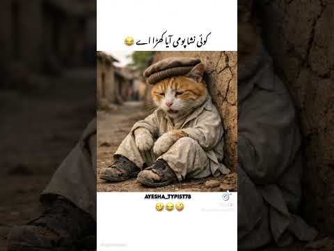 very funny clip ???? please like Karen or chanel ko subscribe Karen thumbnail