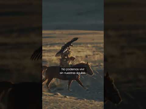 Cazadores de las Águilas | Mongolia thumbnail