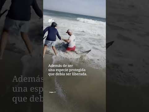 Este pescador atrapó un tiburón blanco por accidente thumbnail
