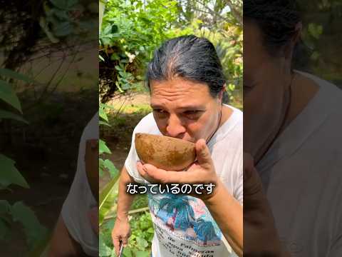 旅人の木 thumbnail