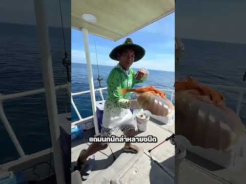 ถ้าคุณเห็นปลาที่มีปีก อย่าพยายามทำให้มันบินได้ thumbnail