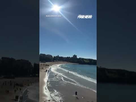 Shark alarm blares across Australia beach after woman is attacked #shorts #foxnews #news #fox thumbnail