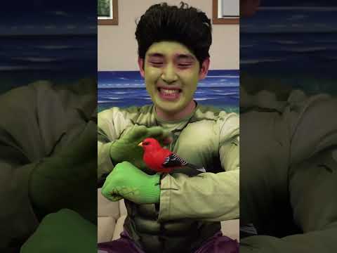 Spider-Man funny video 😂😂😂 Part1463 #funny #tiktok #sigma thumbnail