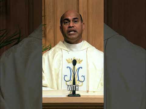 A Homily Moment with Father Roshan Loy D’Souza. #dailymasstv #catholicmass #catholicprayer thumbnail