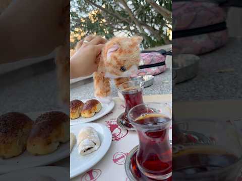 Yaramaz kedimm masada ne varsa hepsini yedi😂 #aboneolmayiunutmayin #catshorts #kesfeteyyiz #funny thumbnail