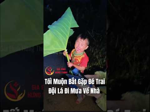 Tối Muộn, Bắt Gặp Cậu Bé Đội Lá Che Mưa Vừa Đi Vừa Khóc Trên Đường Về Nhà   #giadinhhungthinh thumbnail