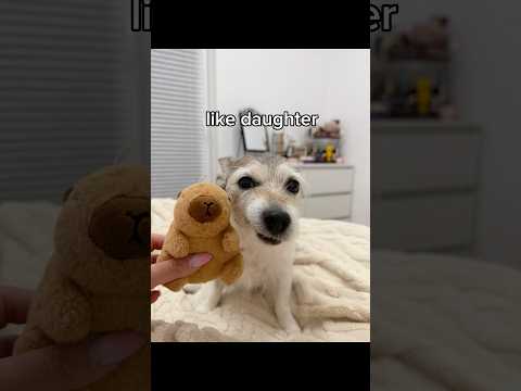 like mother like daughter thumbnail