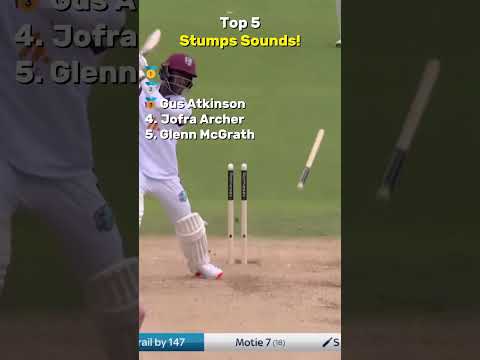 Top 5 Stumps Sounds! thumbnail