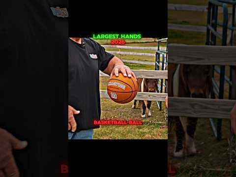 He Grip Basketball Ball with One Palm 🔥 Jeff Dabe Popeye in real life thumbnail