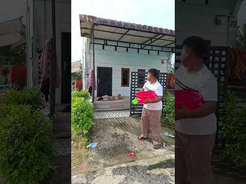 prank hujan tidak berhasil bangunkan mama !!! thumbnail