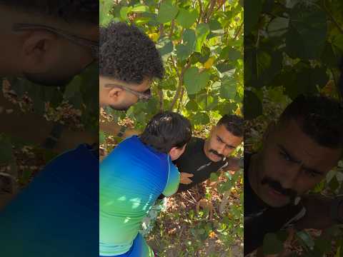 Punch gone wrong thumbnail