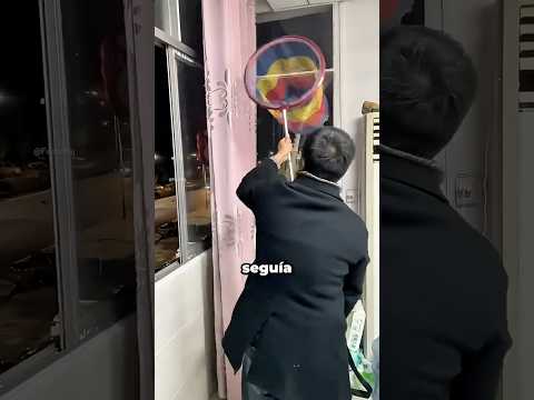 Este Papá Atrapó El Dron Con Una Red 😯 thumbnail