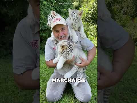 El Último Adiós Del Cuidador Del Zoológico 😢❤️ thumbnail