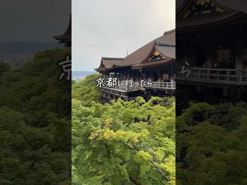 【修学旅行/旅行に?✨️】京都で買わないと損するもの...!? #shorts thumbnail